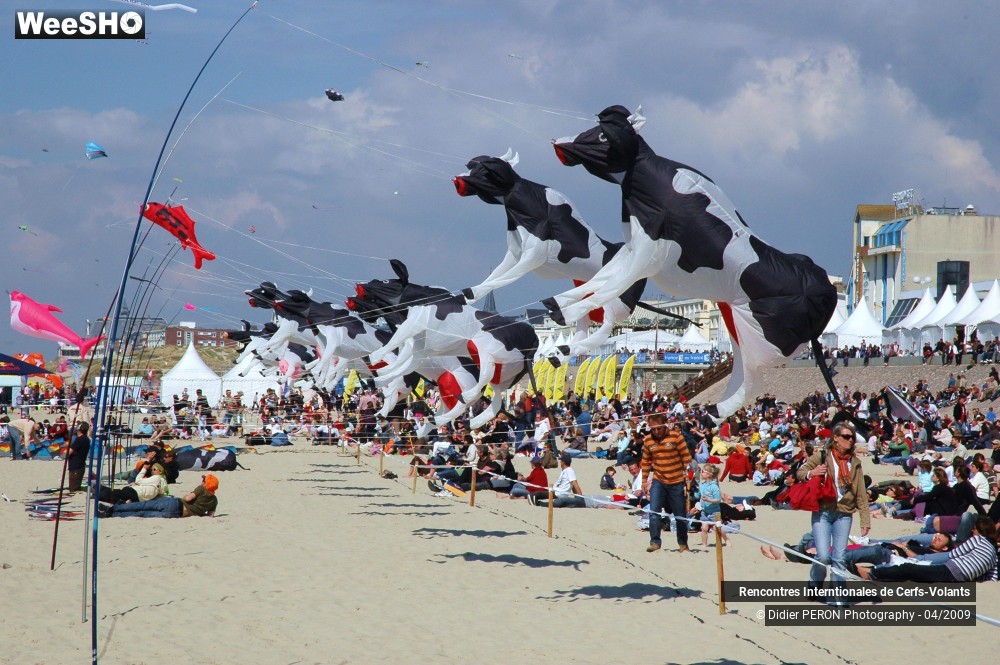 14/17 photos du spectacle Rencontres Internationales de Cerfs-Volants