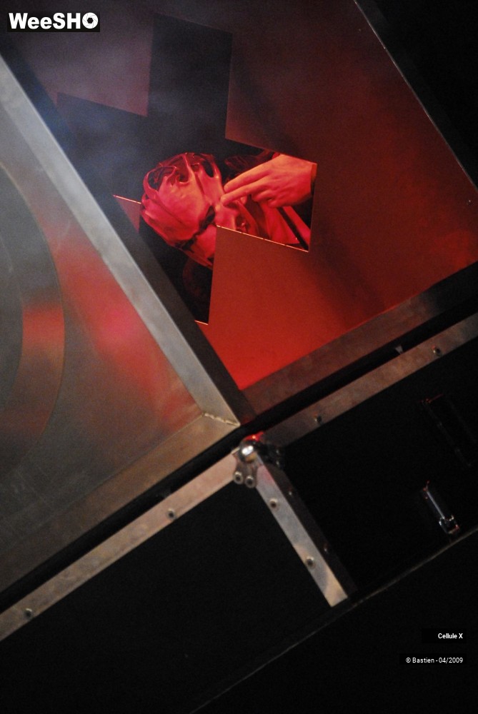 12/39 photos du spectacle Cellule X