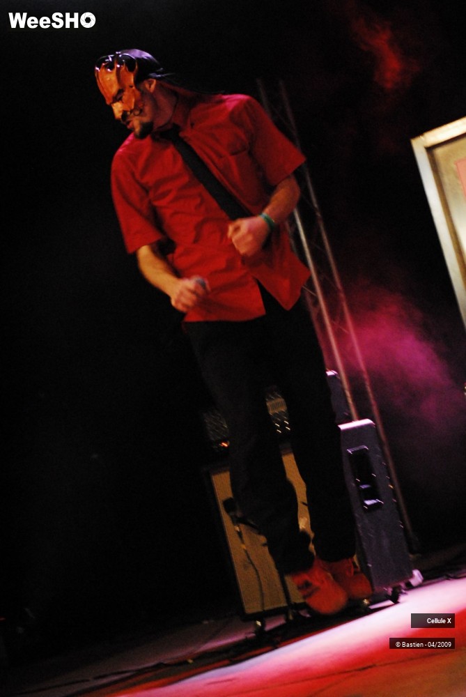 13/39 photos du spectacle Cellule X
