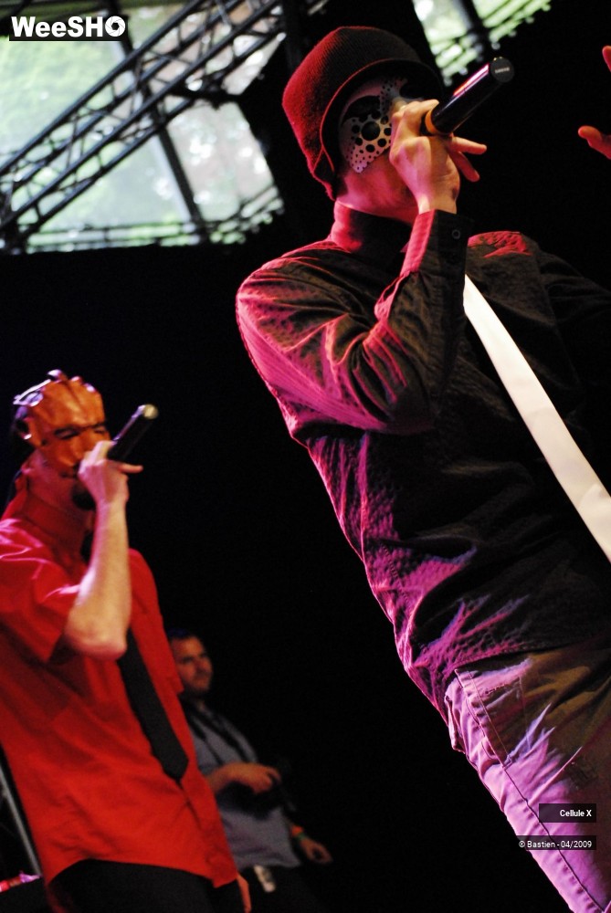 19/39 photos du spectacle Cellule X