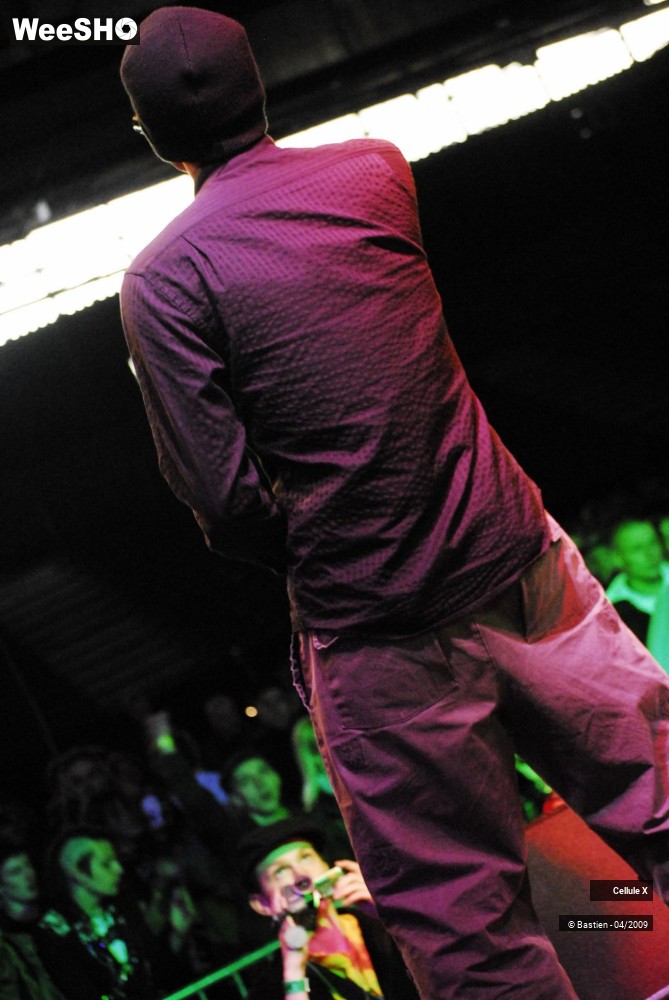 29/39 photos du spectacle Cellule X
