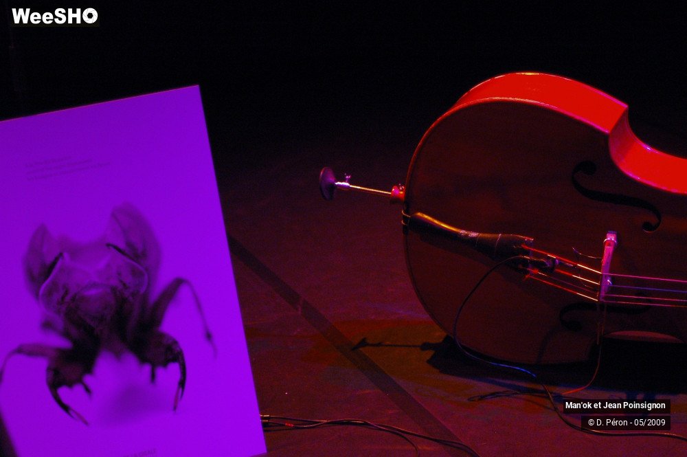 9/12 photos du spectacle Le Secret de la Cigale