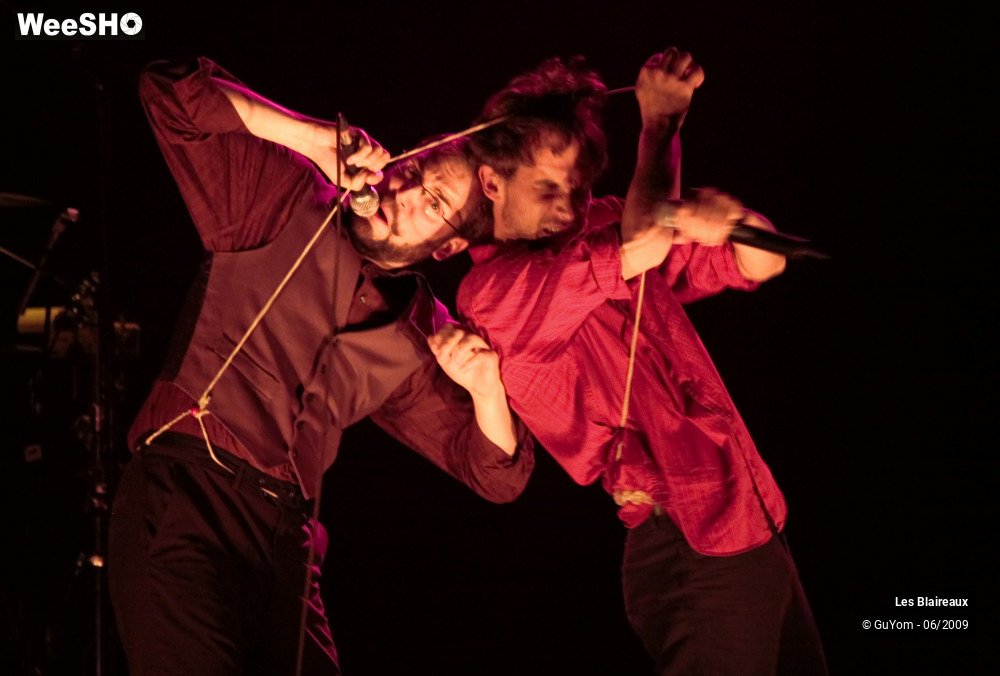 20/37 photos du spectacle Les Blaireaux
