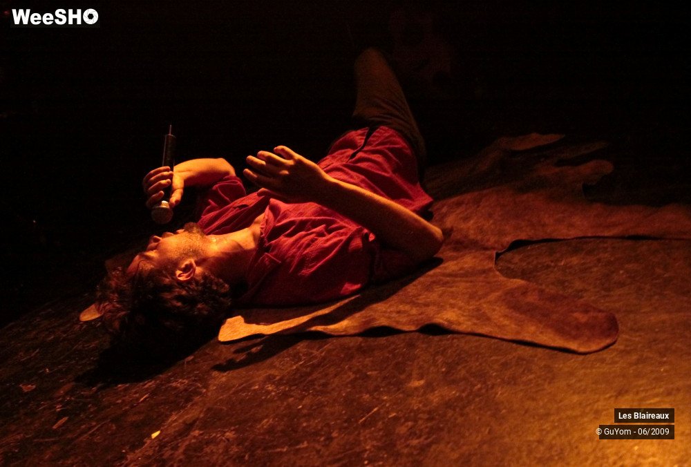 28/37 photos du spectacle Les Blaireaux