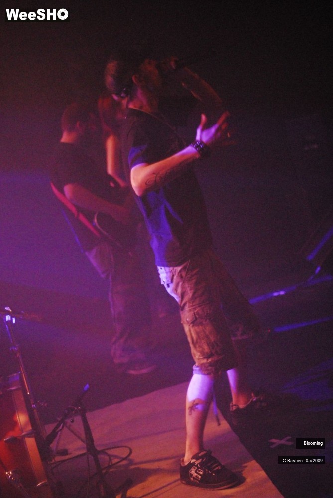15/31 photos du spectacle Blooming