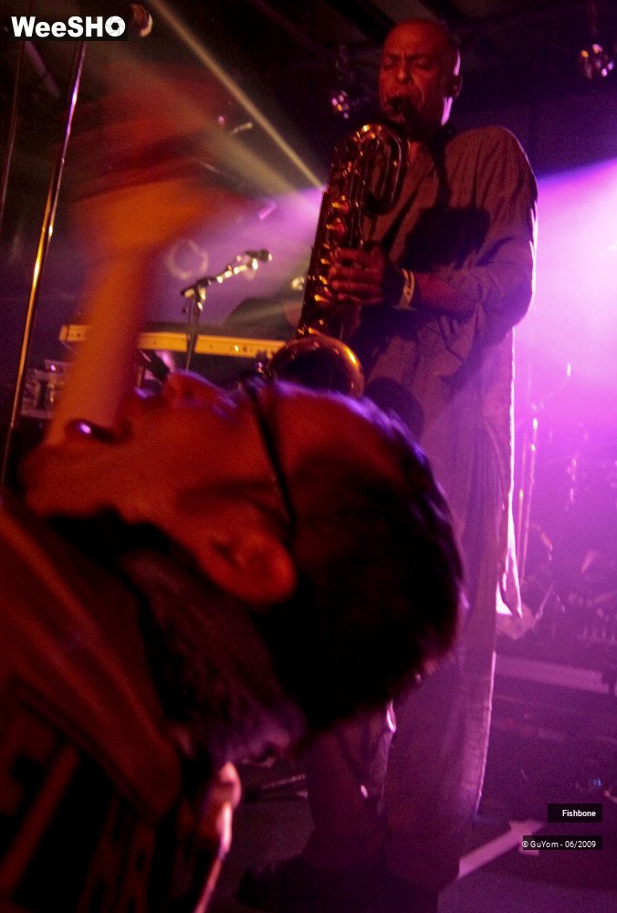 41/41 photos du spectacle Fishbone Ambiance