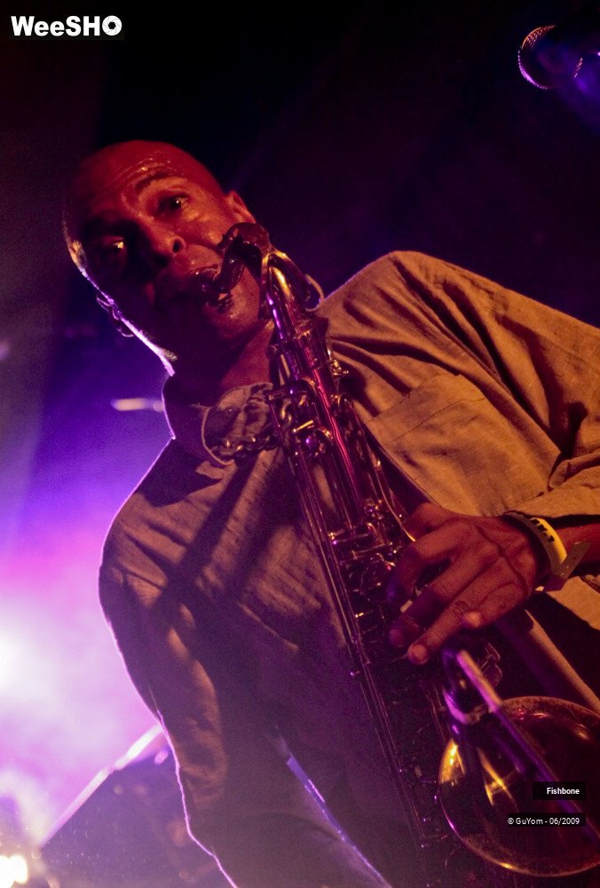 7/50 photos du spectacle Fishbone