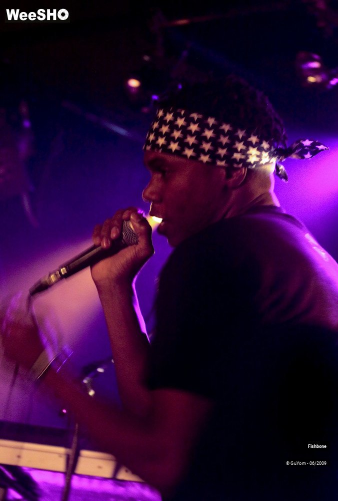 8/50 photos du spectacle Fishbone