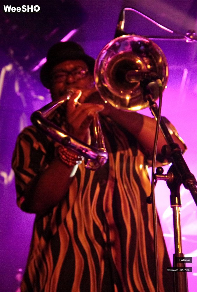 9/50 photos du spectacle Fishbone