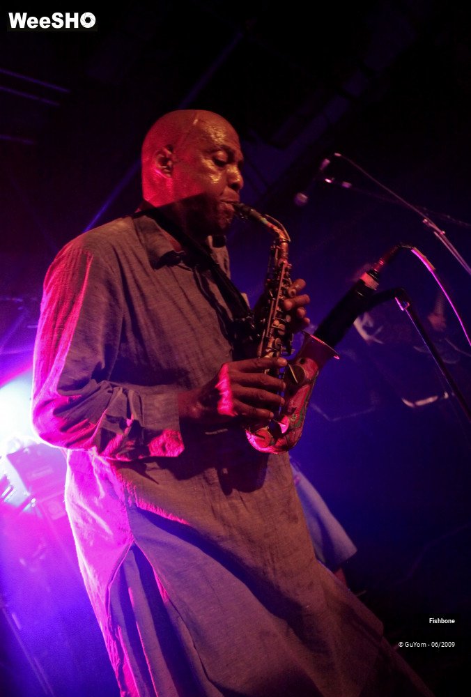 15/50 photos du spectacle Fishbone