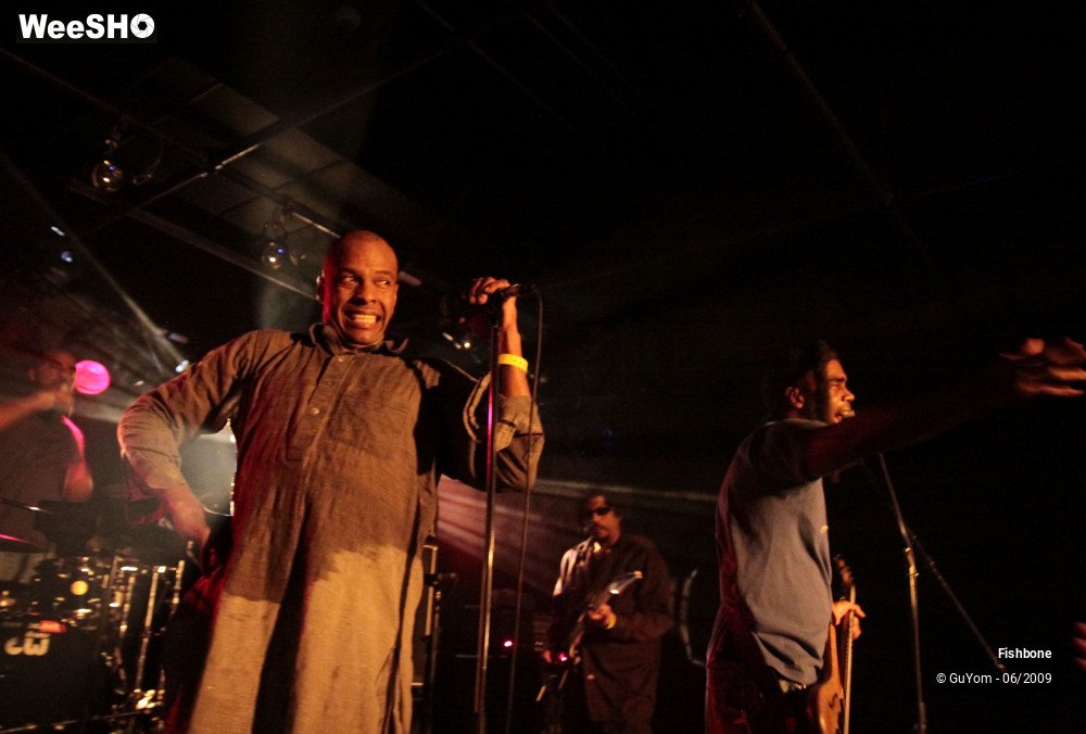 22/50 photos du spectacle Fishbone