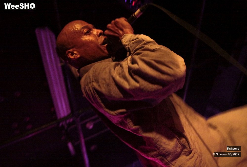 31/50 photos du spectacle Fishbone