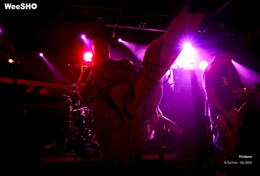 32/50 photos du spectacle Fishbone