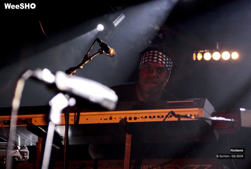 41/50 photos du spectacle Fishbone