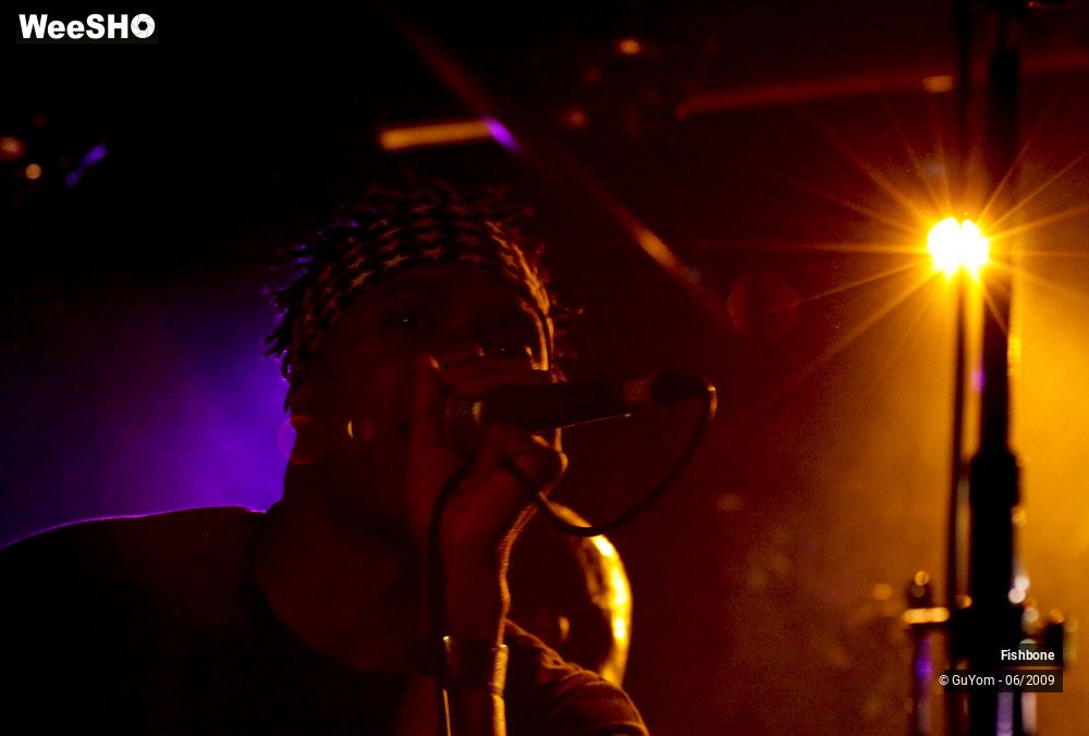 47/50 photos du spectacle Fishbone