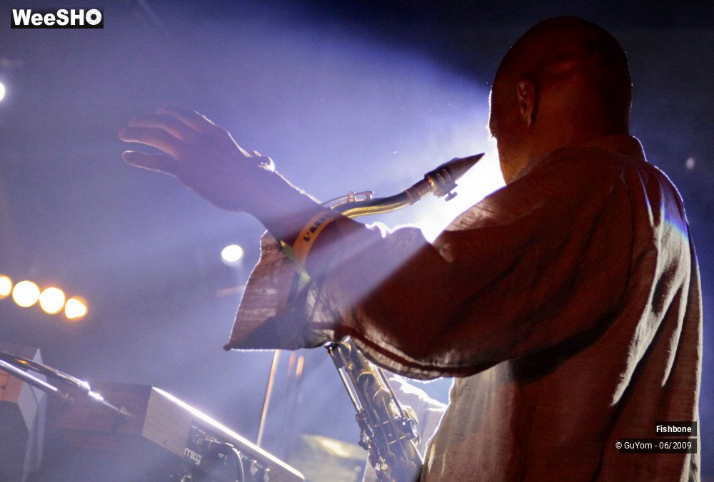 48/50 photos du spectacle Fishbone