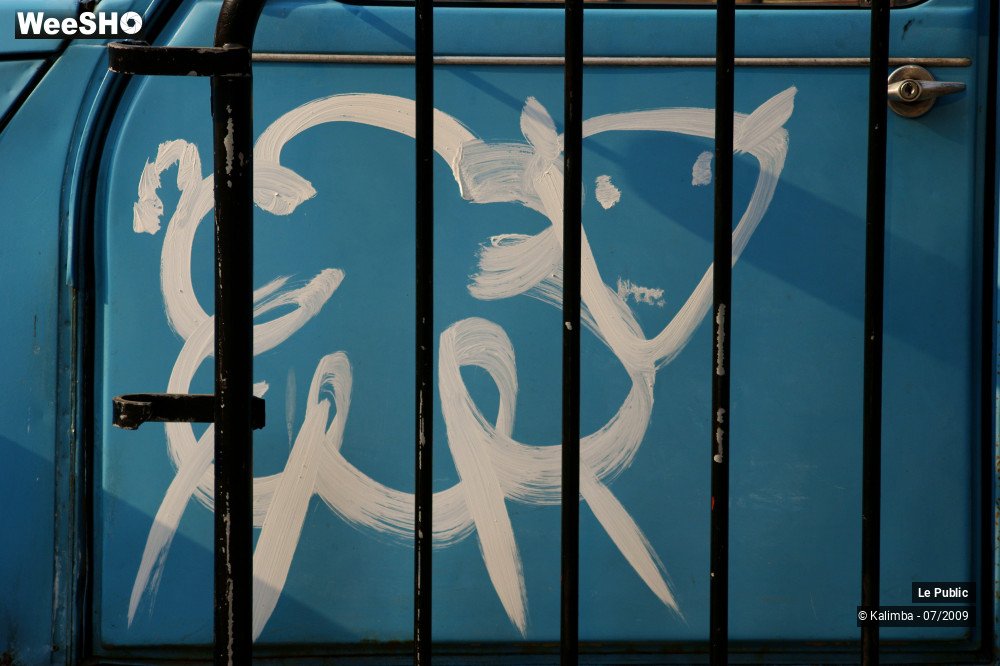 30/40 photos du spectacle Dessine moi un mouton