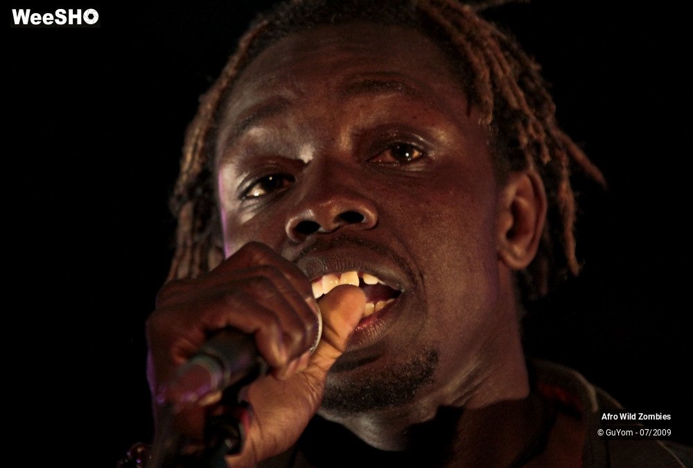 30/49 photos du spectacle Afro Wild Zombies