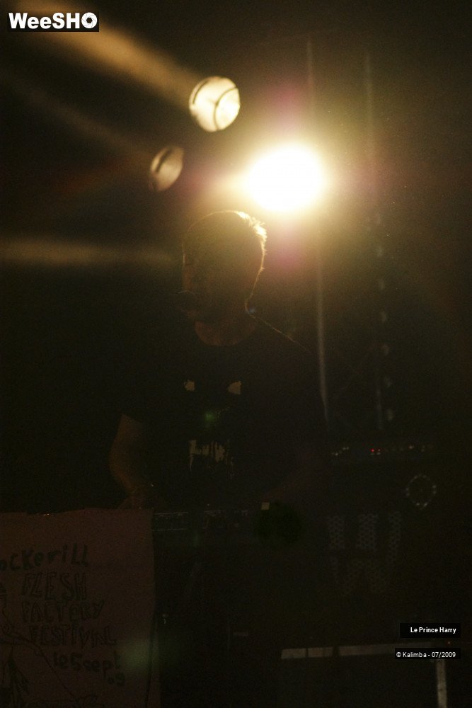 2/21 photos du spectacle Le Prince HARRY