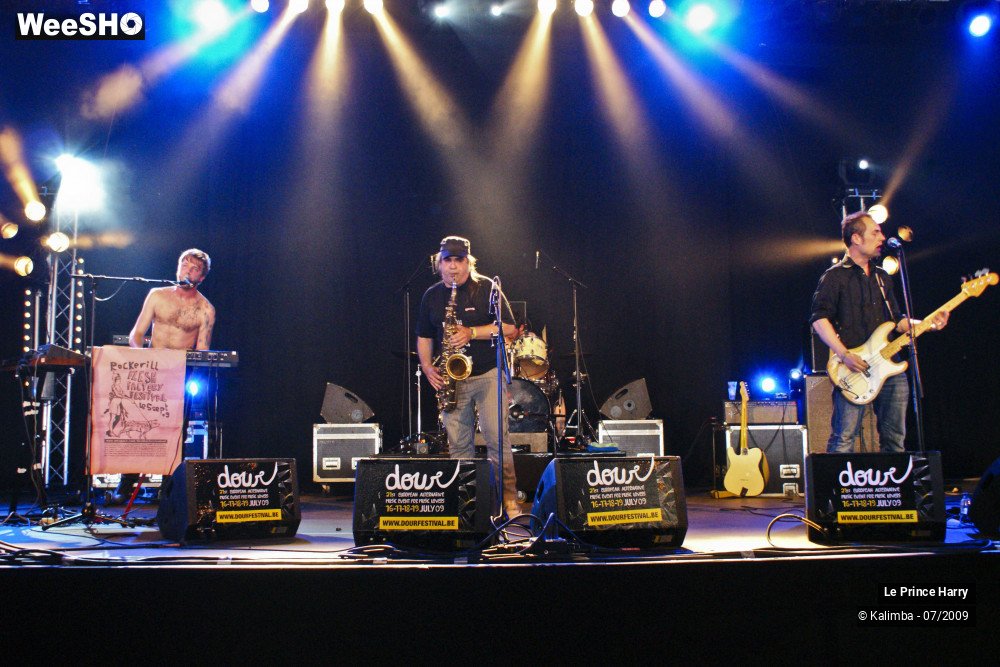 18/21 photos du spectacle Le Prince HARRY