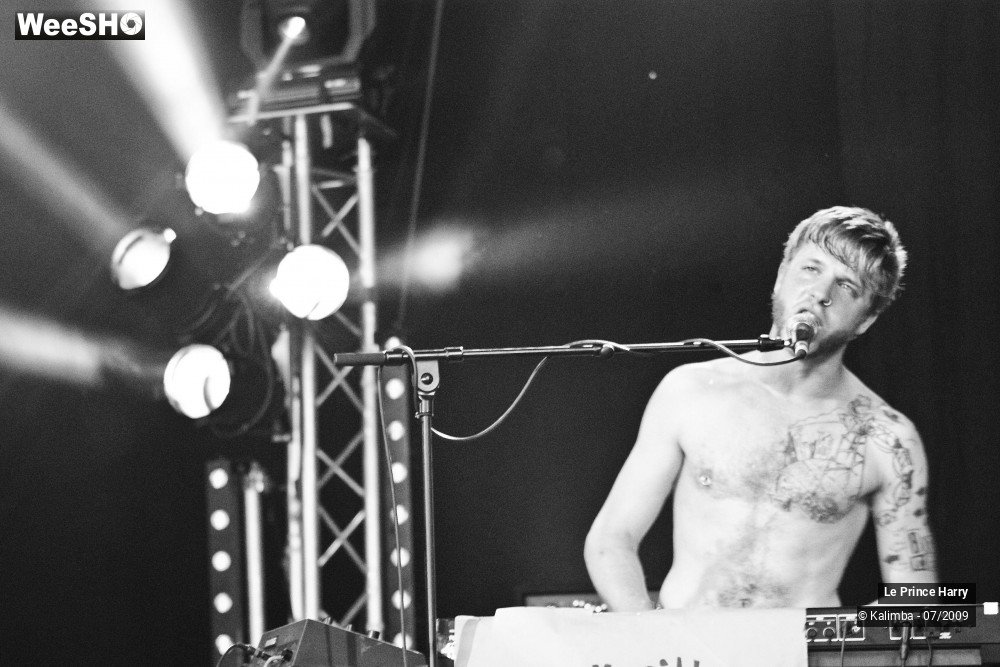 20/21 photos du spectacle Le Prince HARRY