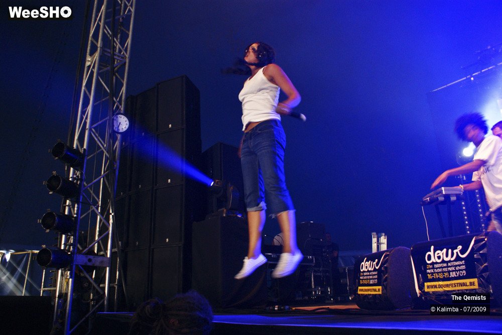 13/32 photos du spectacle The Qemists