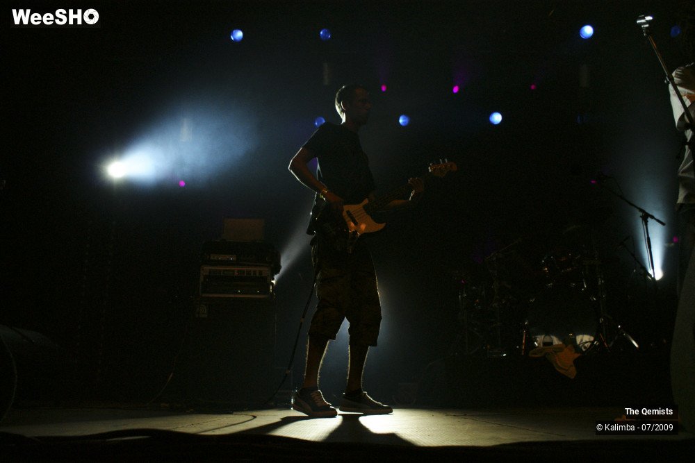 15/32 photos du spectacle The Qemists
