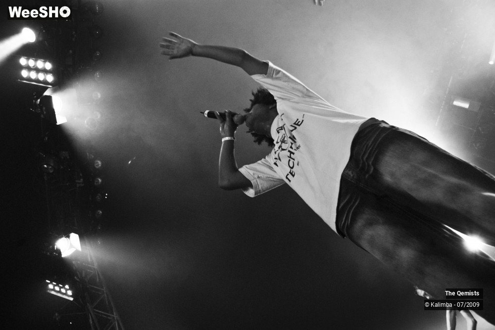 17/32 photos du spectacle The Qemists