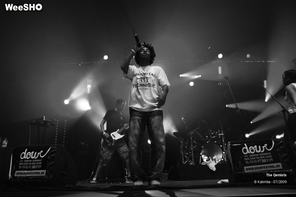 18/32 photos du spectacle The Qemists