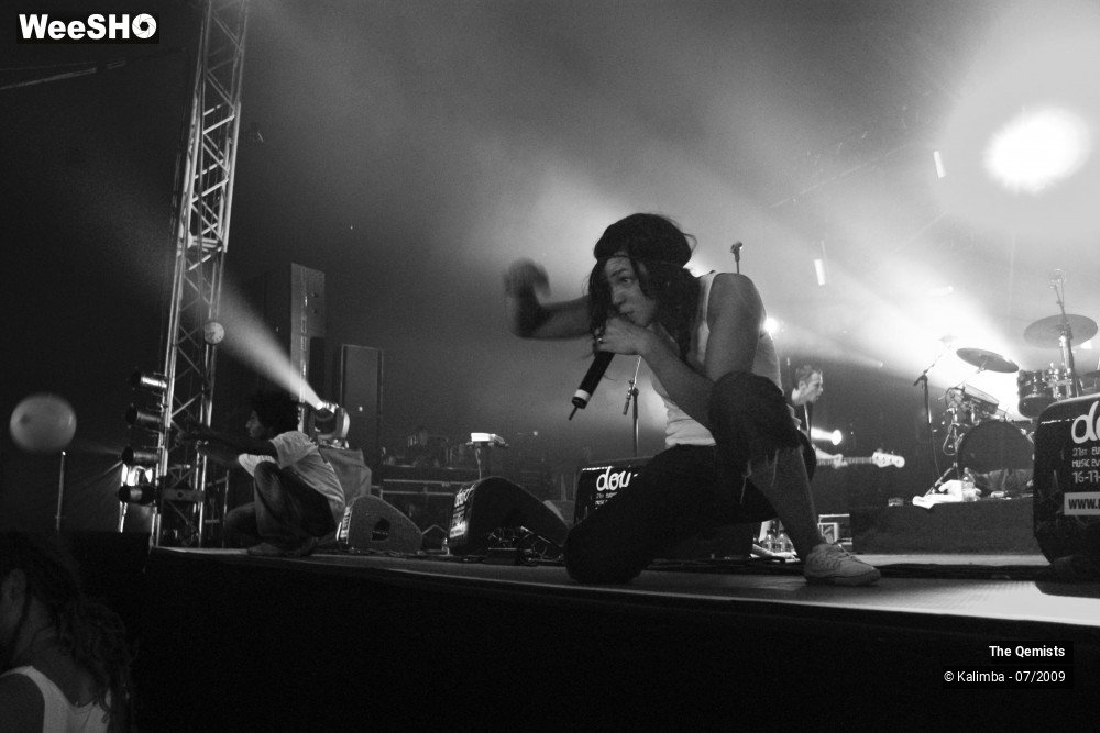 21/32 photos du spectacle The Qemists