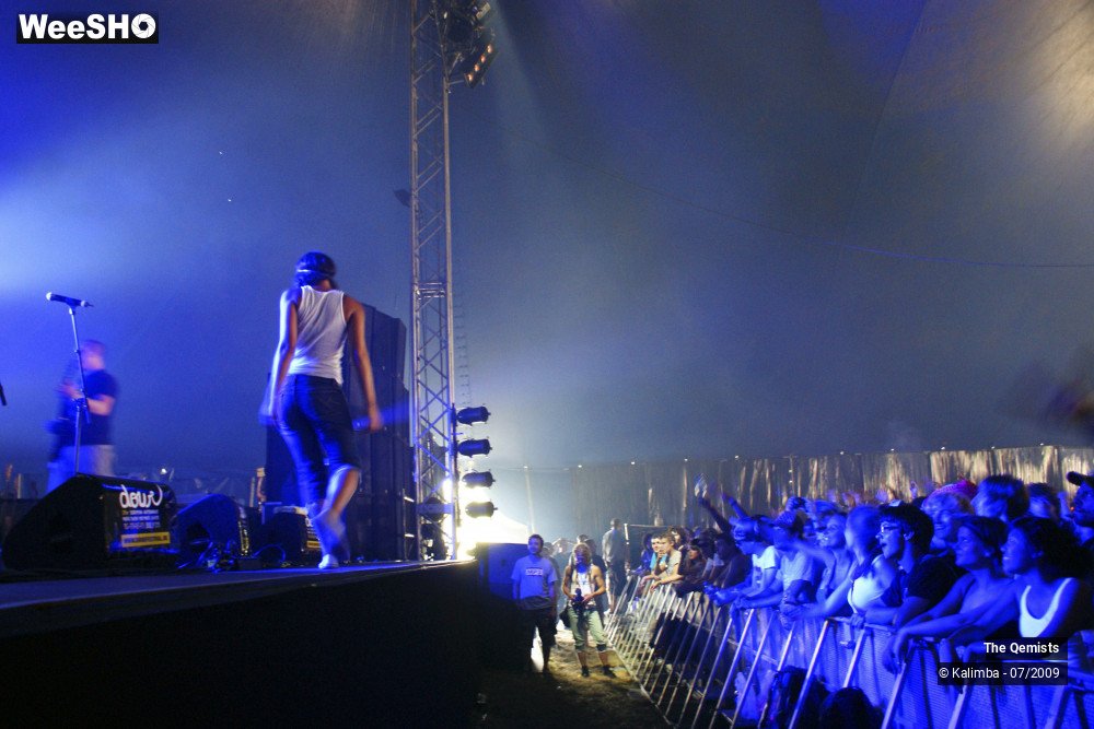 25/32 photos du spectacle The Qemists