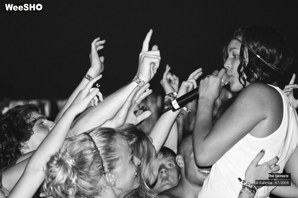 28/32 photos du spectacle The Qemists
