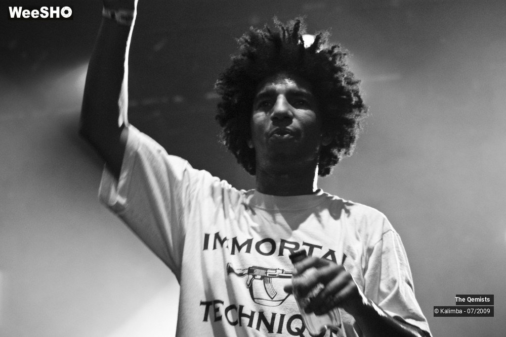 29/32 photos du spectacle The Qemists