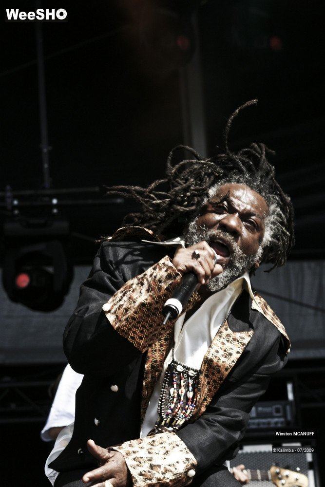 3/50 photos du spectacle Winston McANUFF