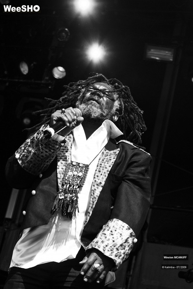 7/50 photos du spectacle Winston McANUFF