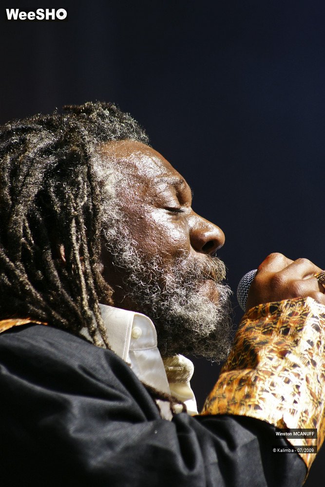 8/50 photos du spectacle Winston McANUFF