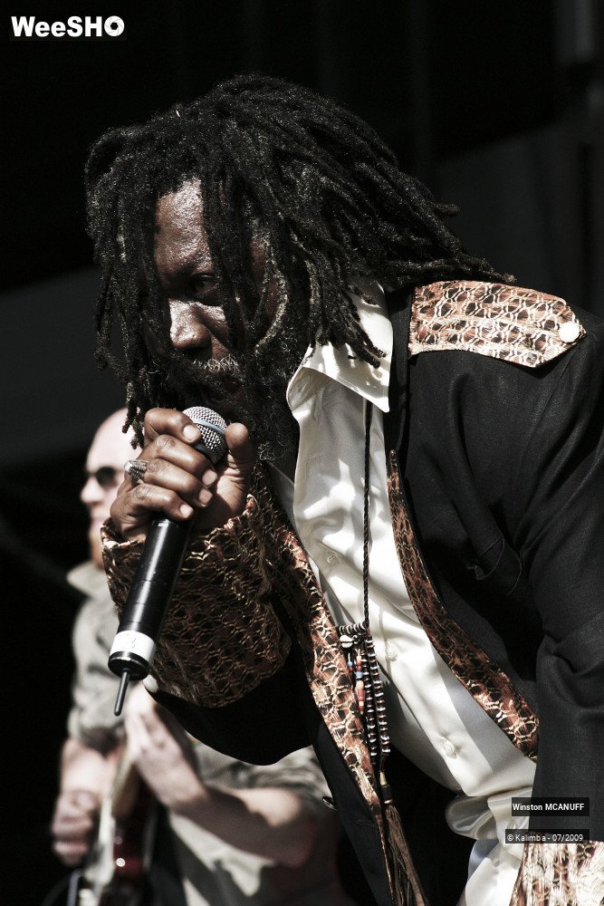 10/50 photos du spectacle Winston McANUFF