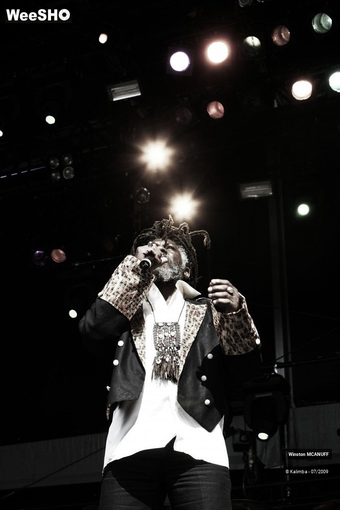 11/50 photos du spectacle Winston McANUFF