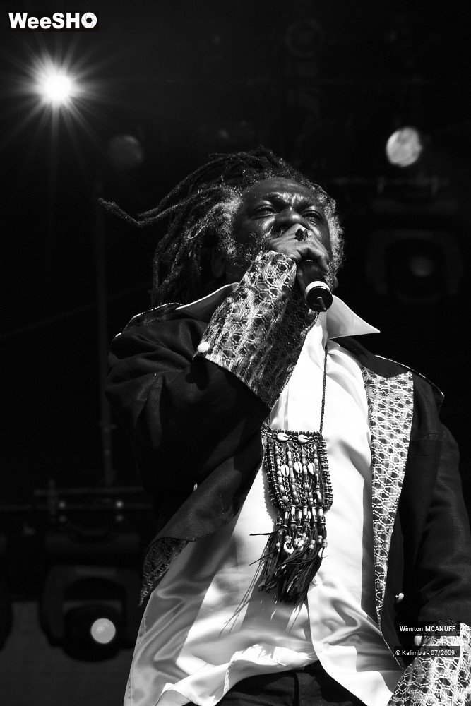 12/50 photos du spectacle Winston McANUFF