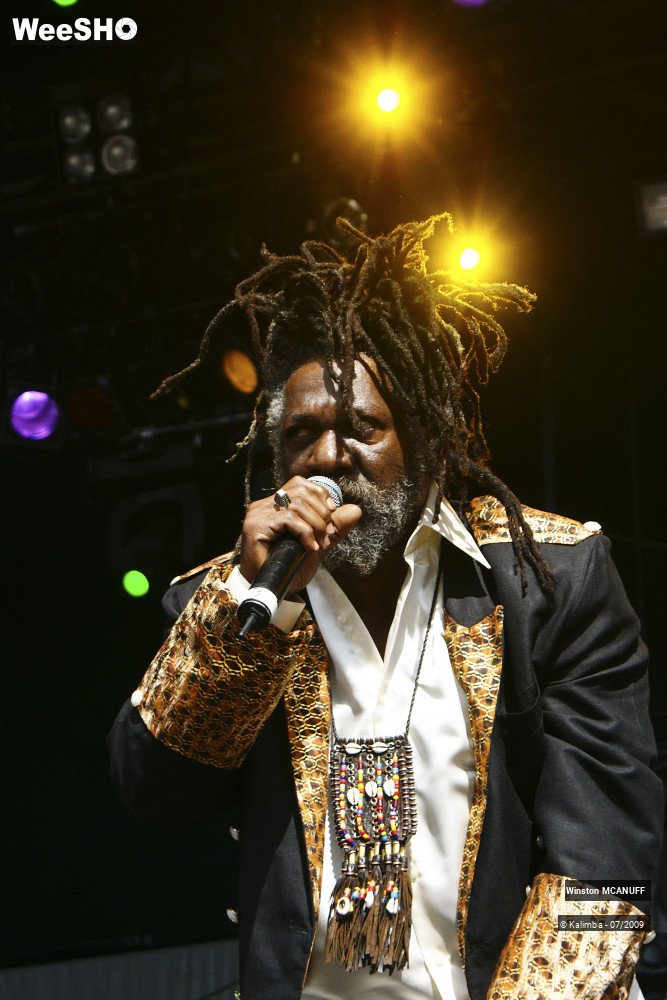 16/50 photos du spectacle Winston McANUFF