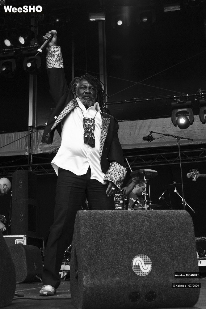 20/50 photos du spectacle Winston McANUFF
