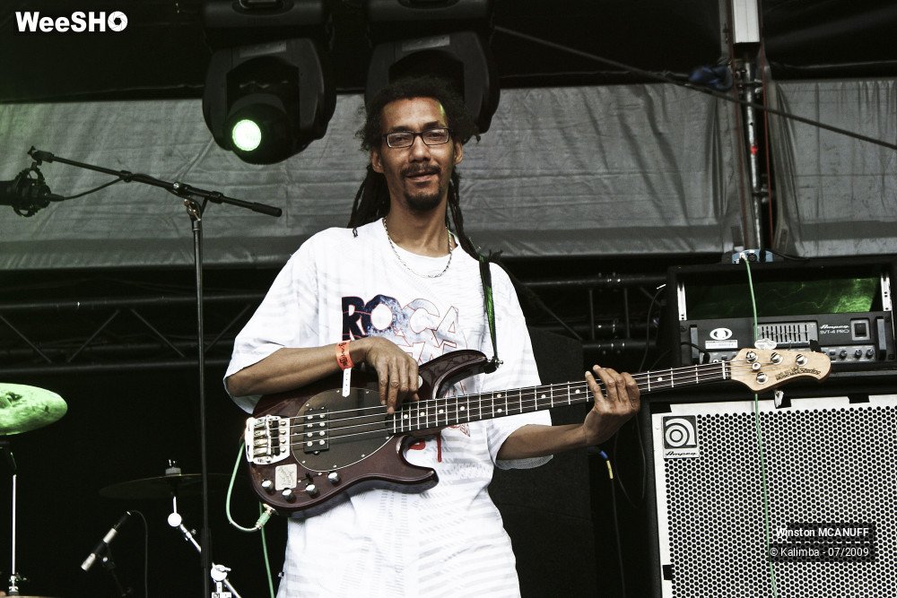 24/50 photos du spectacle Winston McANUFF