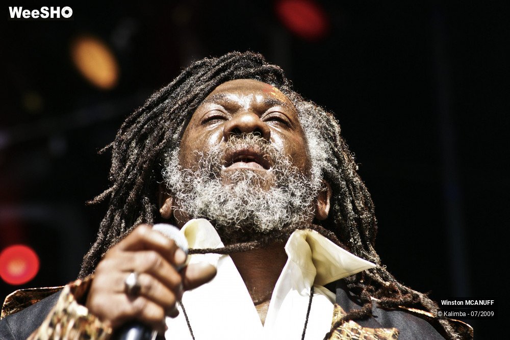 26/50 photos du spectacle Winston McANUFF