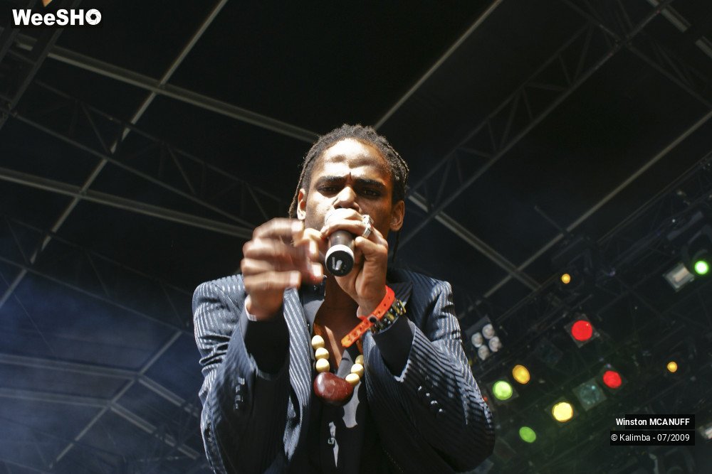 30/50 photos du spectacle Winston McANUFF