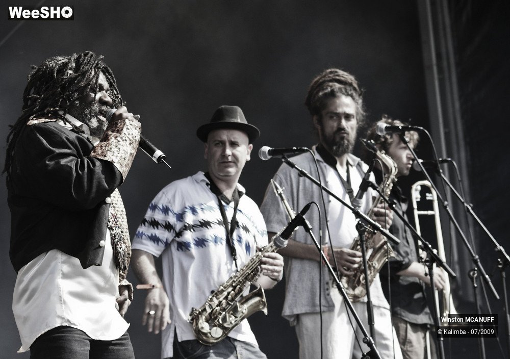 32/50 photos du spectacle Winston McANUFF