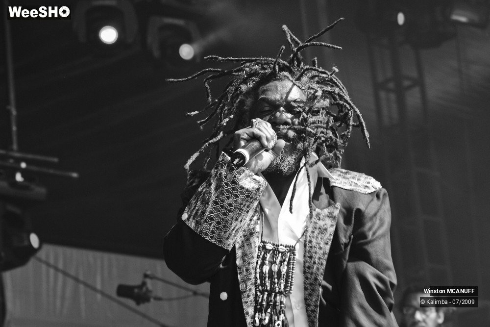 41/50 photos du spectacle Winston McANUFF