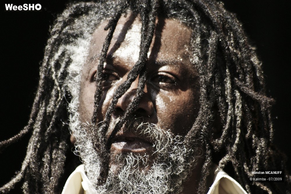 45/50 photos du spectacle Winston McANUFF