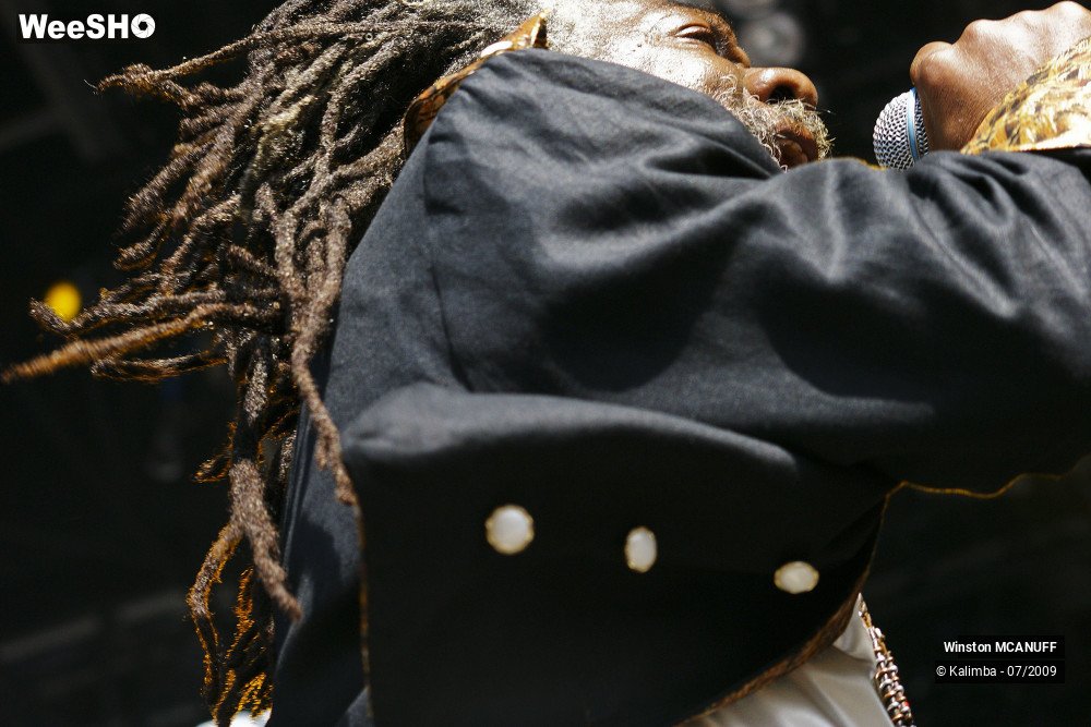 47/50 photos du spectacle Winston McANUFF