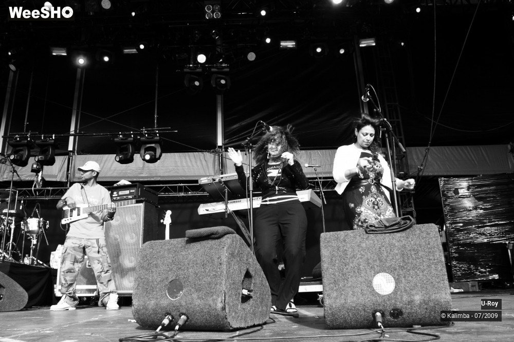 13/41 photos du spectacle U-Roy