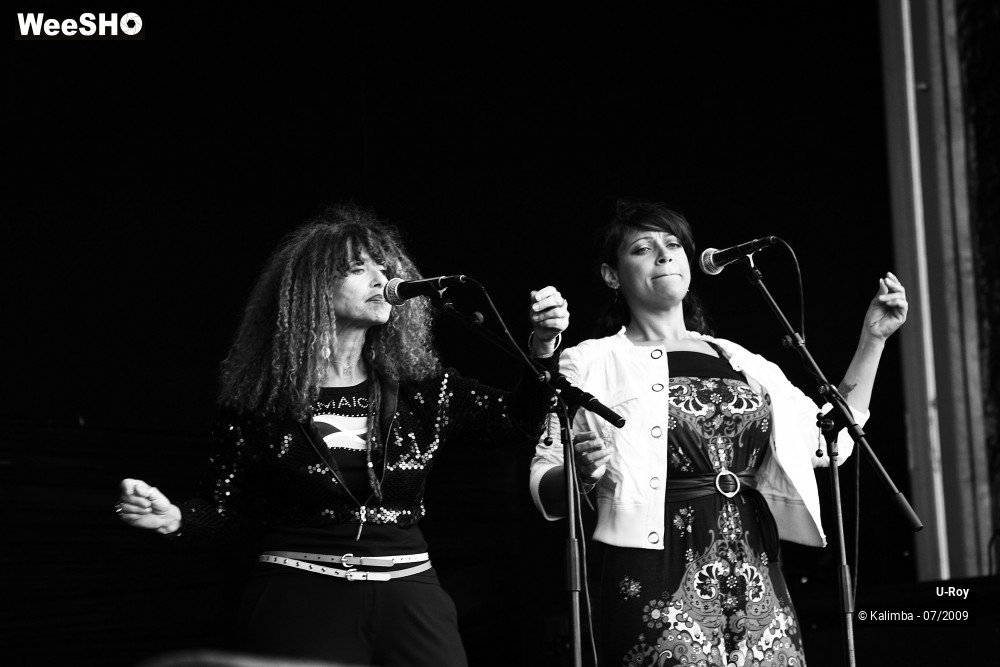 36/41 photos du spectacle U-Roy